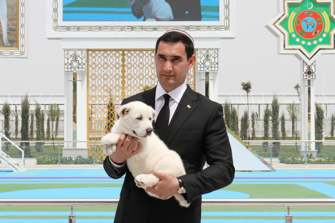 Türkmenisztánban nemzeti ünnepnapot kapott a közép-ázsiai juhászkutya, az elnök kedvenc kutyafajtája