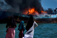 Csecsemők halnak meg a tengerek kizsákmányolása és a klímaváltozás miatt