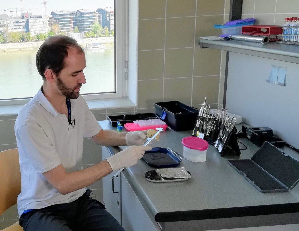 Dr. Czeibert Kálmán állatorvos – Fotó: Kubinyi Enikő / ELTE