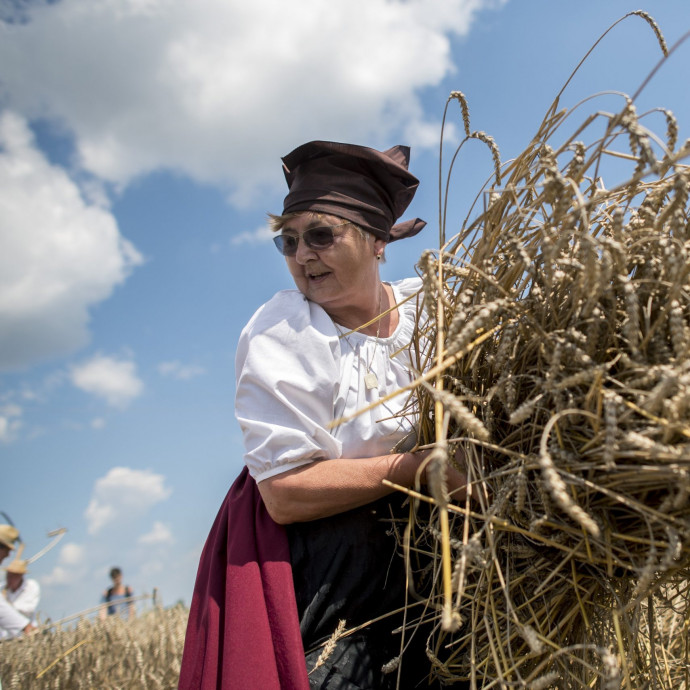 A magyar termőföld hozama simán veri az amerikai részvénypiacét