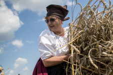 A magyar termőföld hozama simán veri az amerikai részvénypiacét
