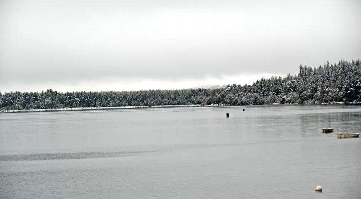 Ezt látja a tó webkamerája – Kép: www.lochmorlich.com/