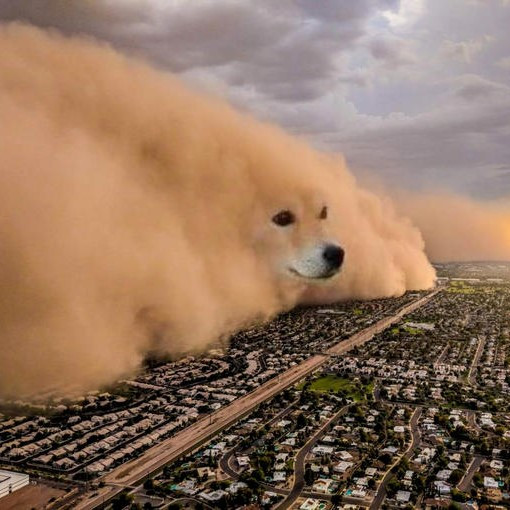 A kriptovilág megérkezett a teljes nihilizmushoz, és ez meggyorsíthatja a bukását