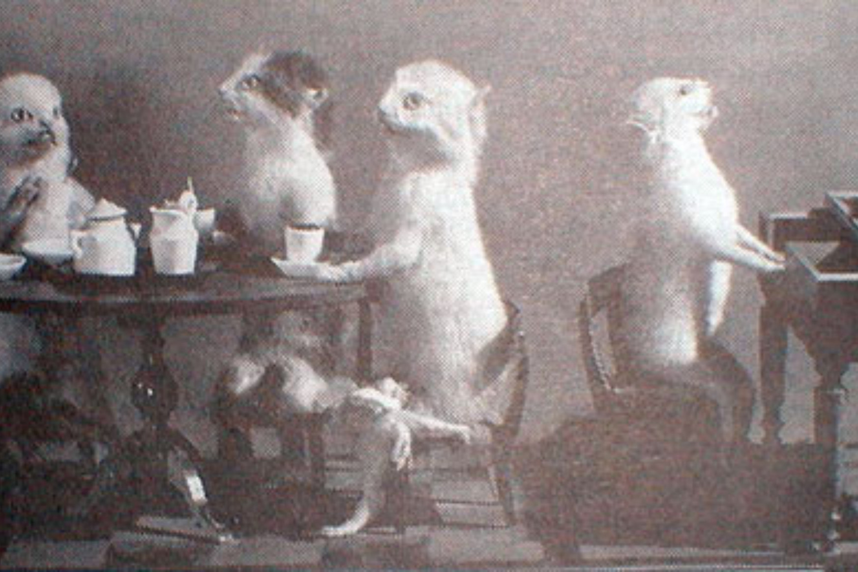 Teadélutánozó macskák és bokszoló mókusok jelentik a viktoriánus kor művészetének legbizarrabb örökségét