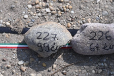 Óriásvállalatnyi dolgozót veszített el az ország a koronavírus miatt