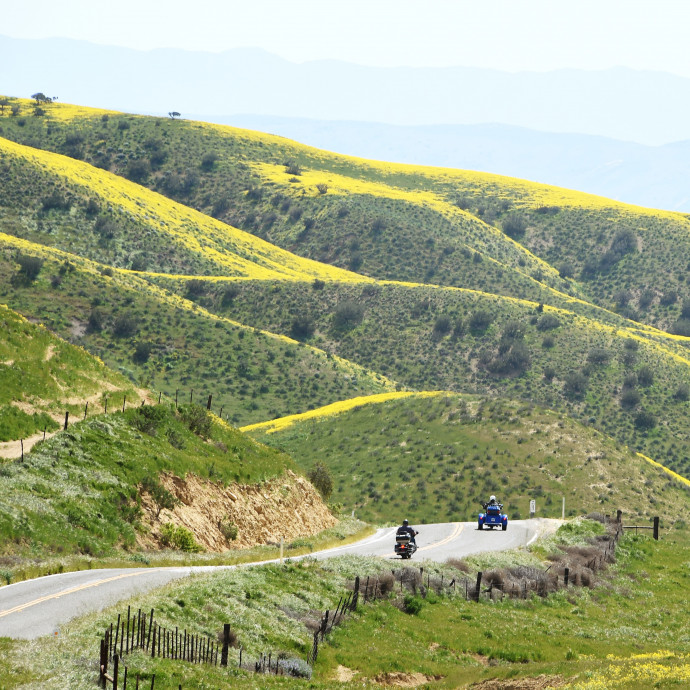 Ha felhagynánk az értelmetlen fűnyírással, azzal az ember és a természet is jól járna