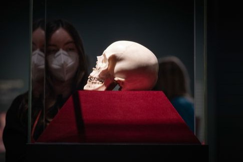 Előkerült a barokk szobrászat mesterének megtévesztően élethű koponyaszobra
