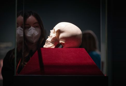 Bernini élethű koponyájaFotó: Oliver Killig/Staatlichen Kunstsammlungen Dresden