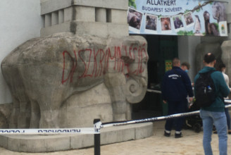 Valaki annyira sérelmezhetett valamit az állatkertnél, hogy felfestette az egyik kőelefántra: DISZKRIMINÁCIÓ