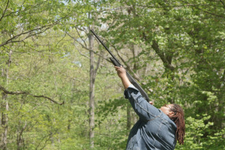 Puskalövésekkel vizsgálja a fák migrációját egy amerikai kutató