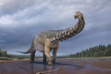 Kosárlabdapálya méretű az Ausztráliában valaha talált legnagyobb dinoszauruszlelet