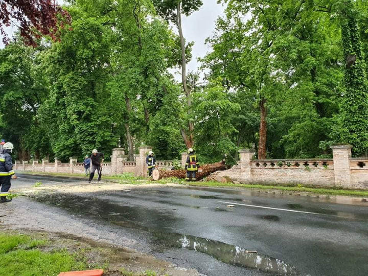 A kerítést is letarolta a hédervári kastélypark egyik fája. Előtte 15 milliós támogatásból vizsgálták be a fákat, hogy legalább a park látogatható legyen – Fotó: Hédervári Tűzoltó Egyesület