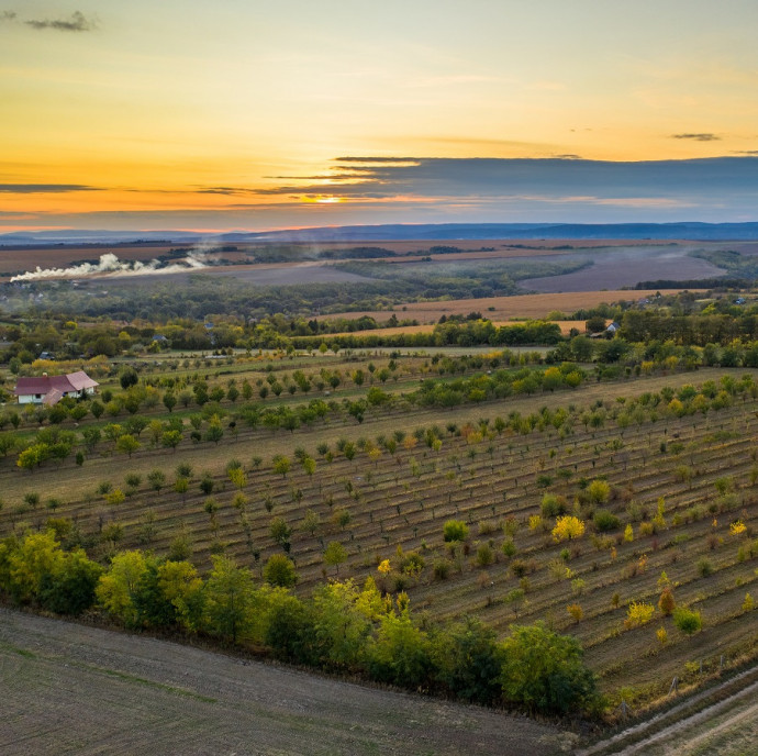 Belefáradtak a multis és a gyári munkába, létrehoztak egy példamutató biogazdaságot