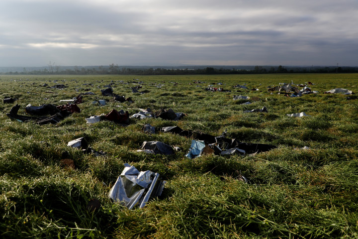 Fotó: David W Cerny / Reuters