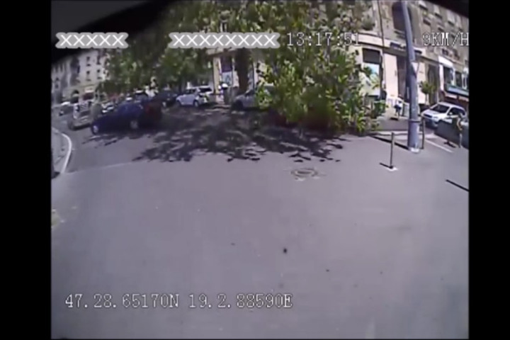 Autóra dőlt egy nagy fa a Móricz Zsigmond körtéren, egy busz fedélzeti kamerája felvette
