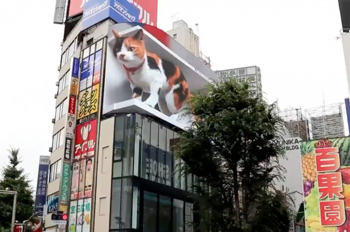 Hatalmas 3D-s macska nyávog le Tokió egyik legforgalmasabb csomópontjára