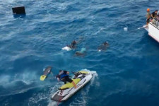 Cápa harapta meg a Jackass egyik tagját, aki wakeboardról esett a ragadozókkal teli vízbe