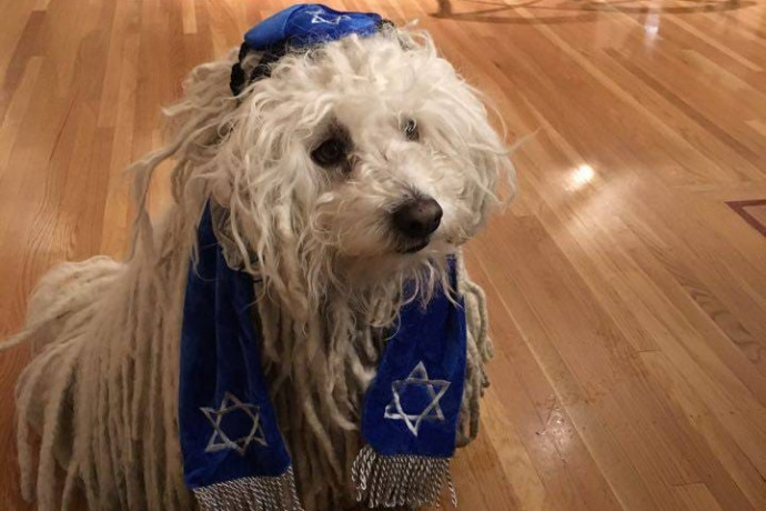 Mark Zuckerberg zsidó öltözetet adott a pulijára