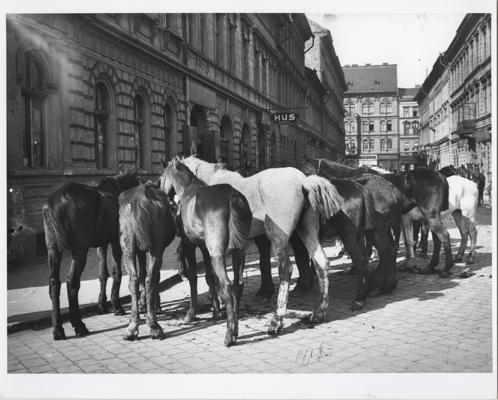 André Kertész – Lovak várnak a levágásukra a pesti utcán. Magyarország, 1918. február © Az André Kertész Emlékmúzeum, Szigetbecse jóvoltából