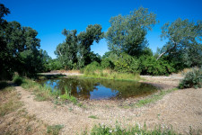 Negyven éve nem épült akkora park Bécsben, mint amekkora most készül