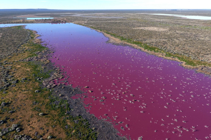 Rózsaszínűre változott két tó vize Argentínában, de az ok prózai