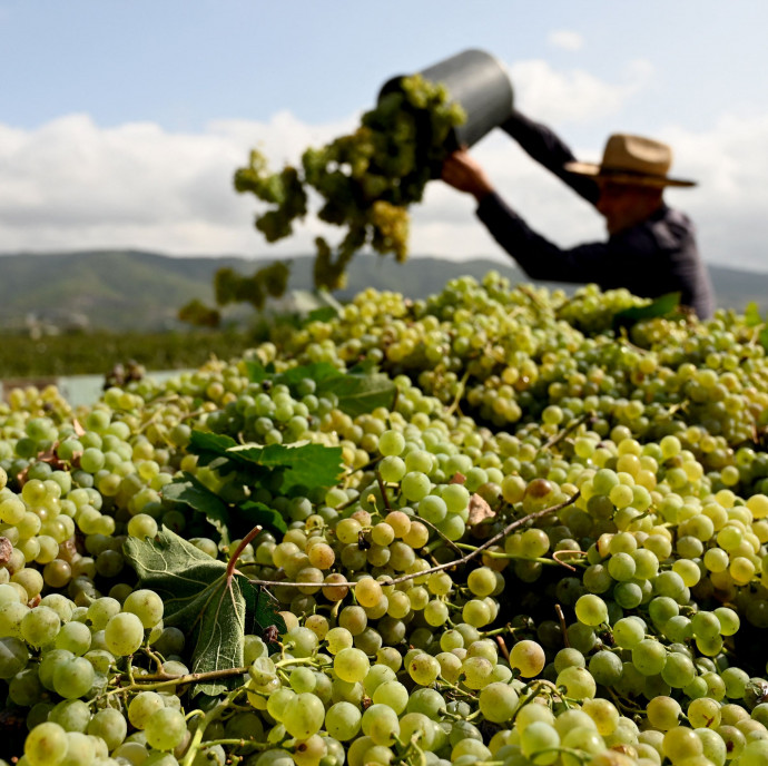 Nem véletlen, hogy Magyarország nem rúg labdába a borpiacon