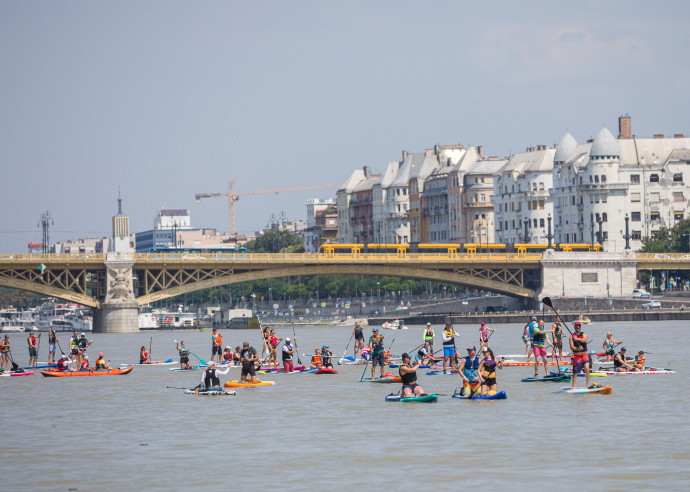 Résztvevõk az V. Budapest Sup Fesztiválon a Dunán, a Margit híd közelében 2020. augusztus 8-án. A SUP a Stand Up Paddling angol kifejezés rövidítése, a dinamikusan fejlõdõ új sportágban a versenyzõk egy deszkán állva eveznek a vízen. MTI/Mohai Balázs