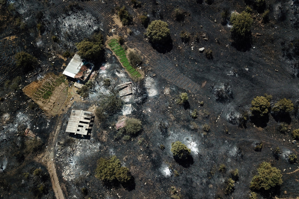 Ez maradt a tűz után a törökországi Mugla tartományban – Fotó: YASIN AKGUL / AFP