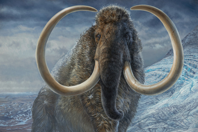 Egyetlen agyar segítségével sikerült rekonstruálni egy gyapjas mamut teljes életét