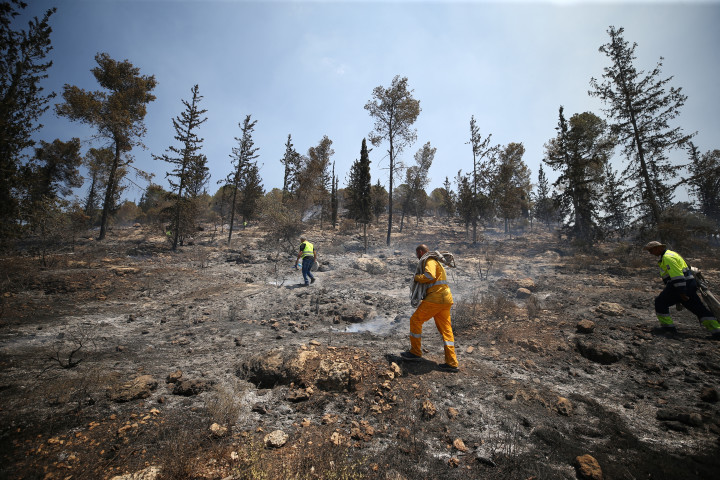 Tűzoltók a Jeruzsálemhez közeli, leégett erdőben – Fotó: Mostafa Alkharouf / AFP