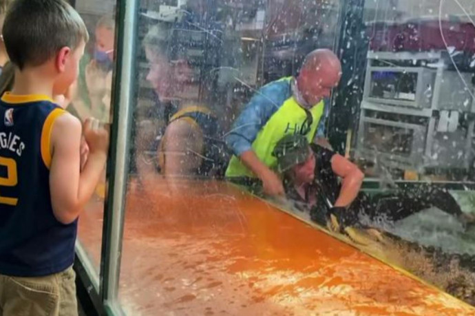 Egy hétköznapi vendég fogta le a gondozójába harapó aligátort egy utahi gyerekzsúron