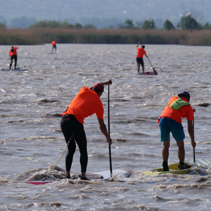 Bécsben tüntettek az ellen, hogy a magyarok kibetonozzák a Fertő-tavat