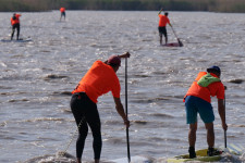 Bécsben tüntettek az ellen, hogy a magyarok kibetonozzák a Fertő-tavat