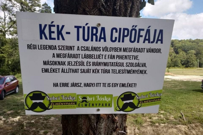 Ezt hogy gondolták? Élő fába nem szögelünk! – kiakadtak a túrázók a Sobri Jóska Emlékpark cipőfáján