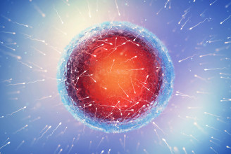 Vírusként kezelné a spermiumot egy új fogamzásgátló módszer