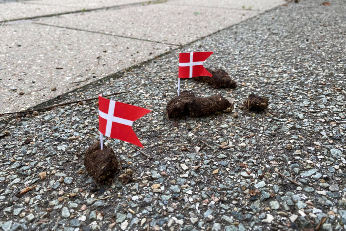 A dánok a kutyakakát is nemzeti zászlóval lobogózzák fel
