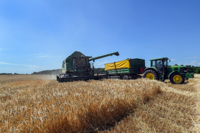 Brutálisat emelkedtek a felvásárlási árak egy év alatt