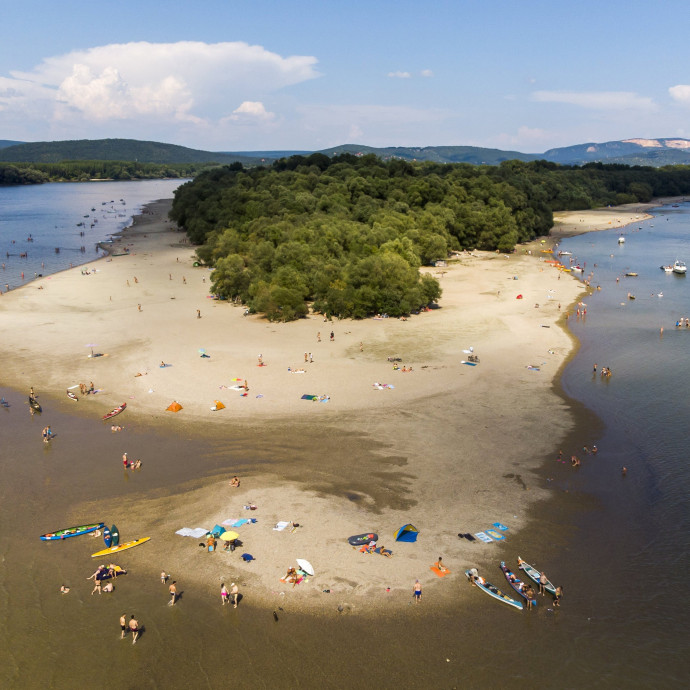 Mégsem aszfaltoznak a Szigetcsúcson, de az erdőt így is meg kell menteni