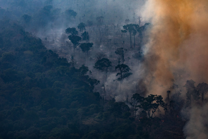 Erdőtűz Amazónia esőserdejében, Brazíliában 2019 augusztusában – Fotó: Victor Moriyama / Getty Images