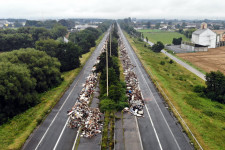 Nyolckilométeres szakaszon halmozták fel a szemetet egy belga autóúton az áradások után