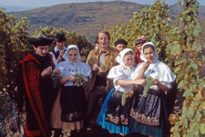 Tokaji keserű: mire van szüksége a világ legjobb borvidékének, hamis legendákra vagy jó borokra?