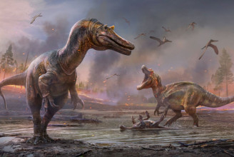 Két új dinófajt fedeztek fel a Wight-szigeteken