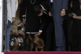 Beleugatott egy sajtótájékoztatóba a görög miniszterelnök kutyája, Mogyoró