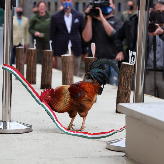 Az ingyen pénz ára a korrupció