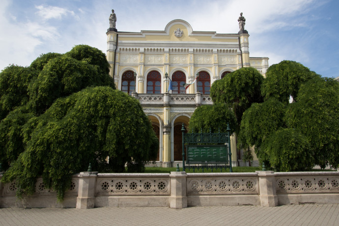 Debrecen százéves csüngő japánakácai nyertek az Év Fája versenyben