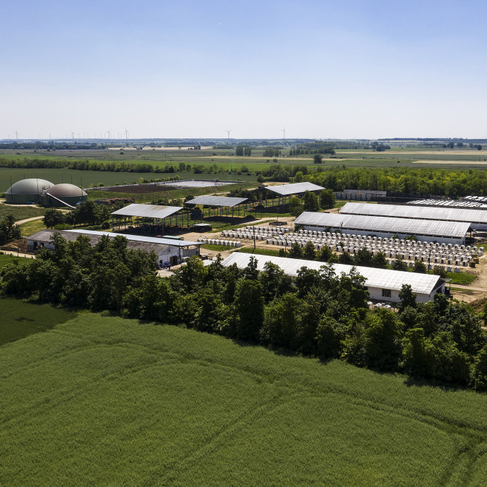 Megnéztünk egy magyar körforgásos gazdaságot – állami támogatás nélkül aligha fejlődhetnek hasonlók