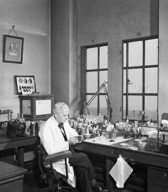 Alexander Fleming a St. Mary Kórházban berendezett laborjában, Londonban a második világháború idején – Fotó: Imperial War Museum / Ministry of Information Photo Division Photographer / Wikipedia