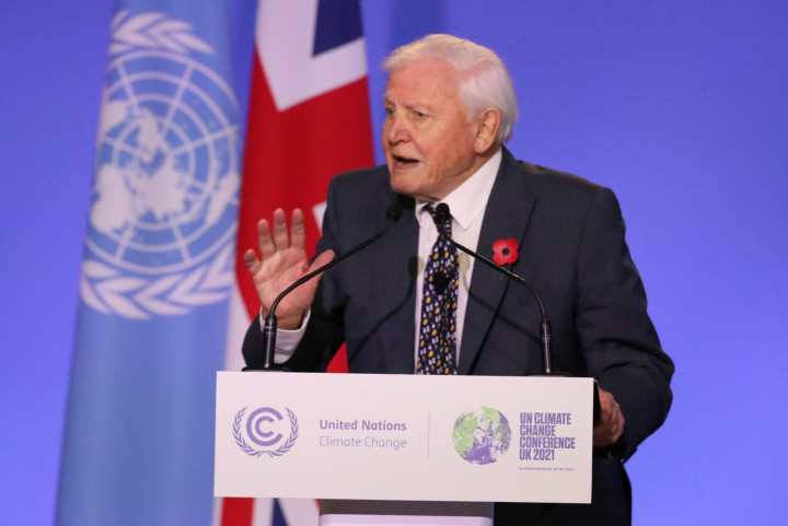 David Attenborough beszél az ENSZ klímakonferenciáján 2021. november 1-jén – Fotó: Steve Reigate/Pool via REUTERS