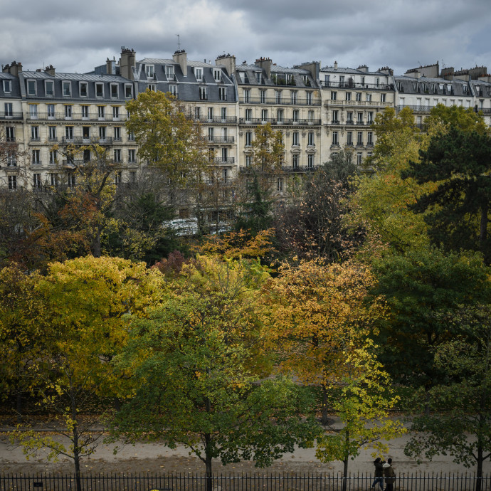 Nem mindenki szeretné, hogy több fa legyen a városokban