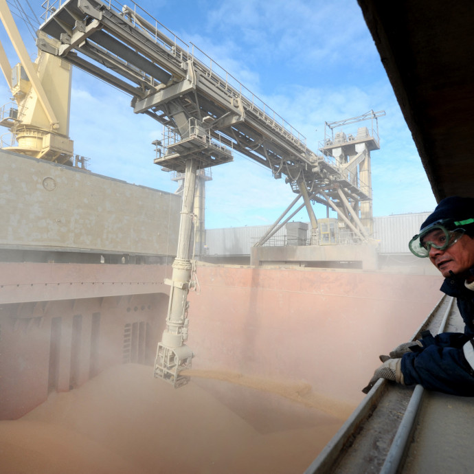Sosem volt még ilyen drága a búza, pedig az éghajlatváltozás kedvez neki